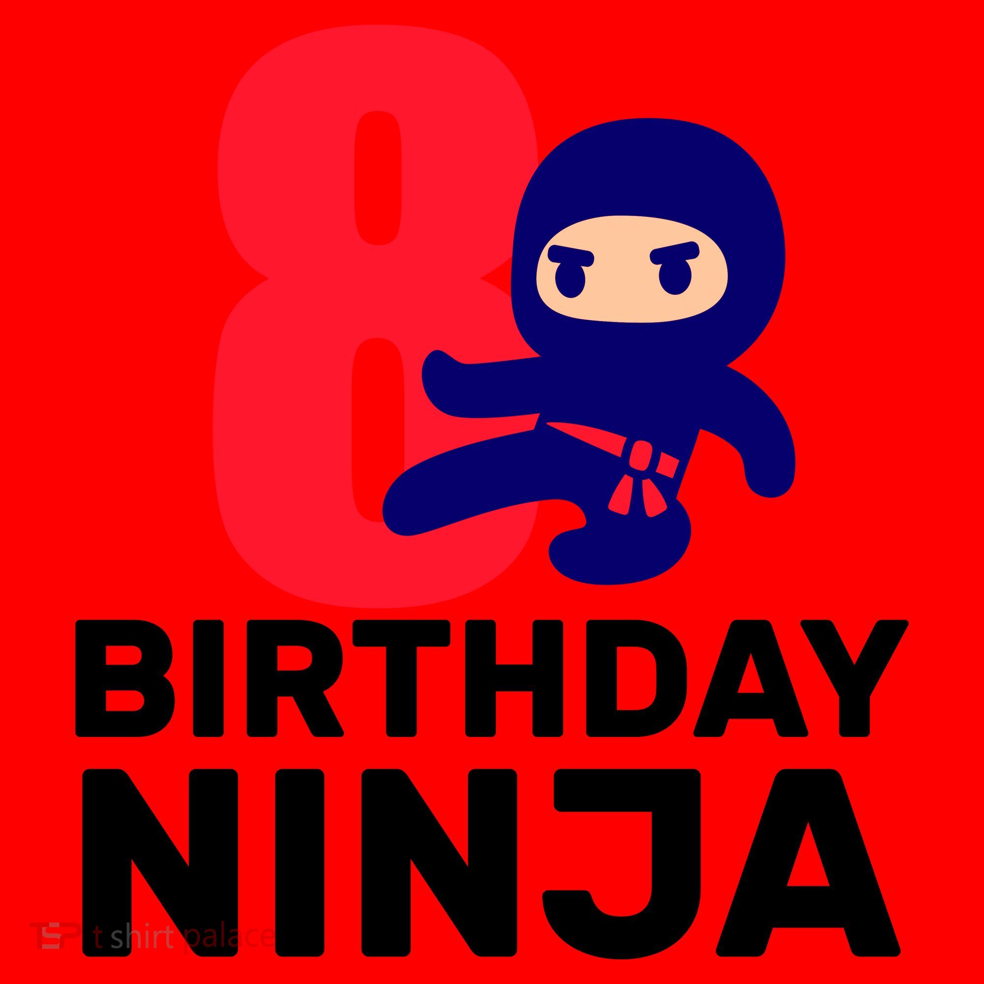 8th Birthday Ninja Santa Hat