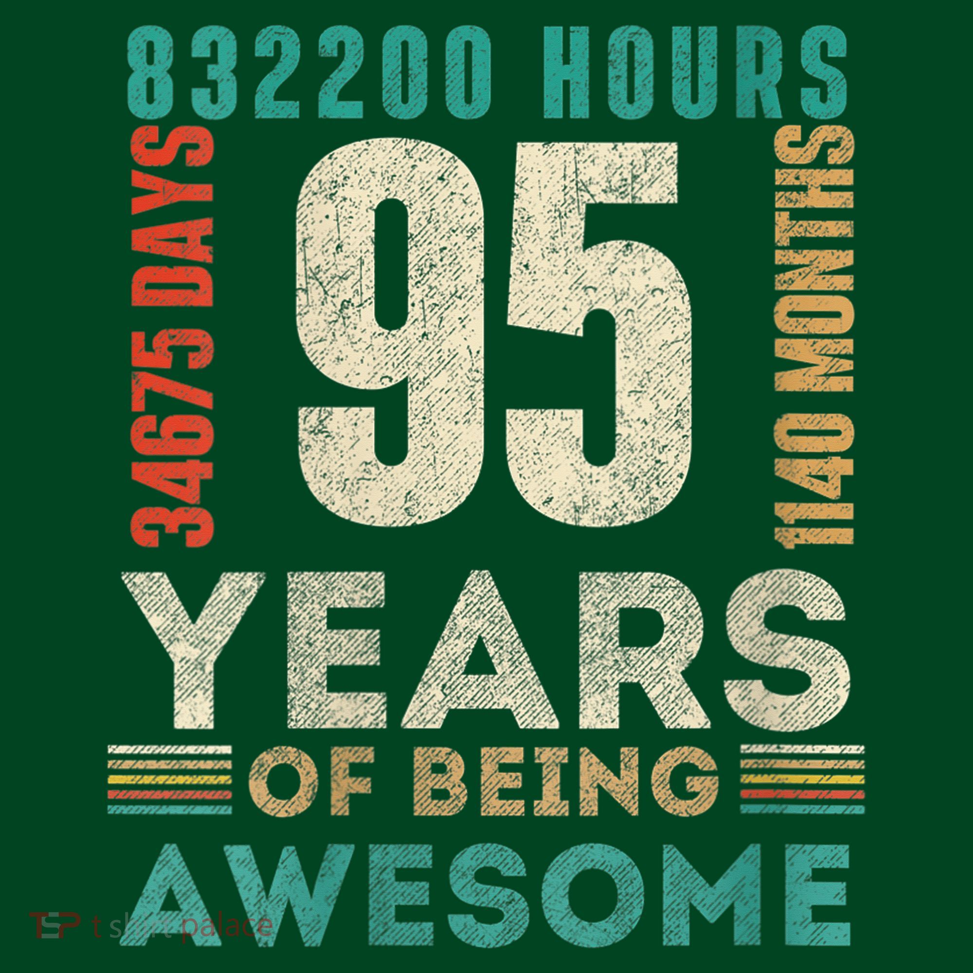 95th Birthday Hours Days Months 95 Years Old Bday Hoodie