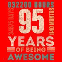 95th Birthday Hours Days Months 95 Years Old Bday Santa Hat thumb 1