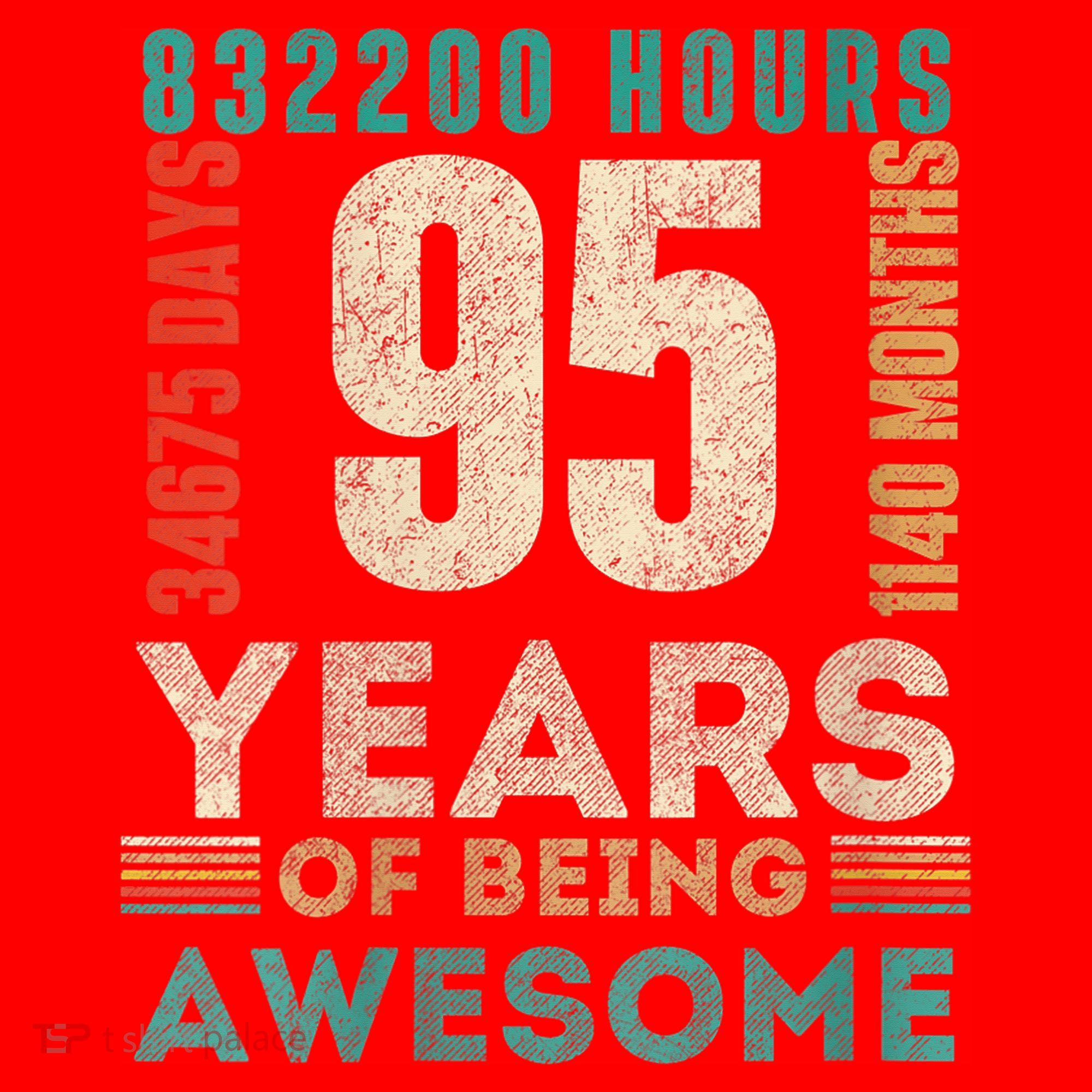 95th Birthday Hours Days Months 95 Years Old Bday Santa Hat