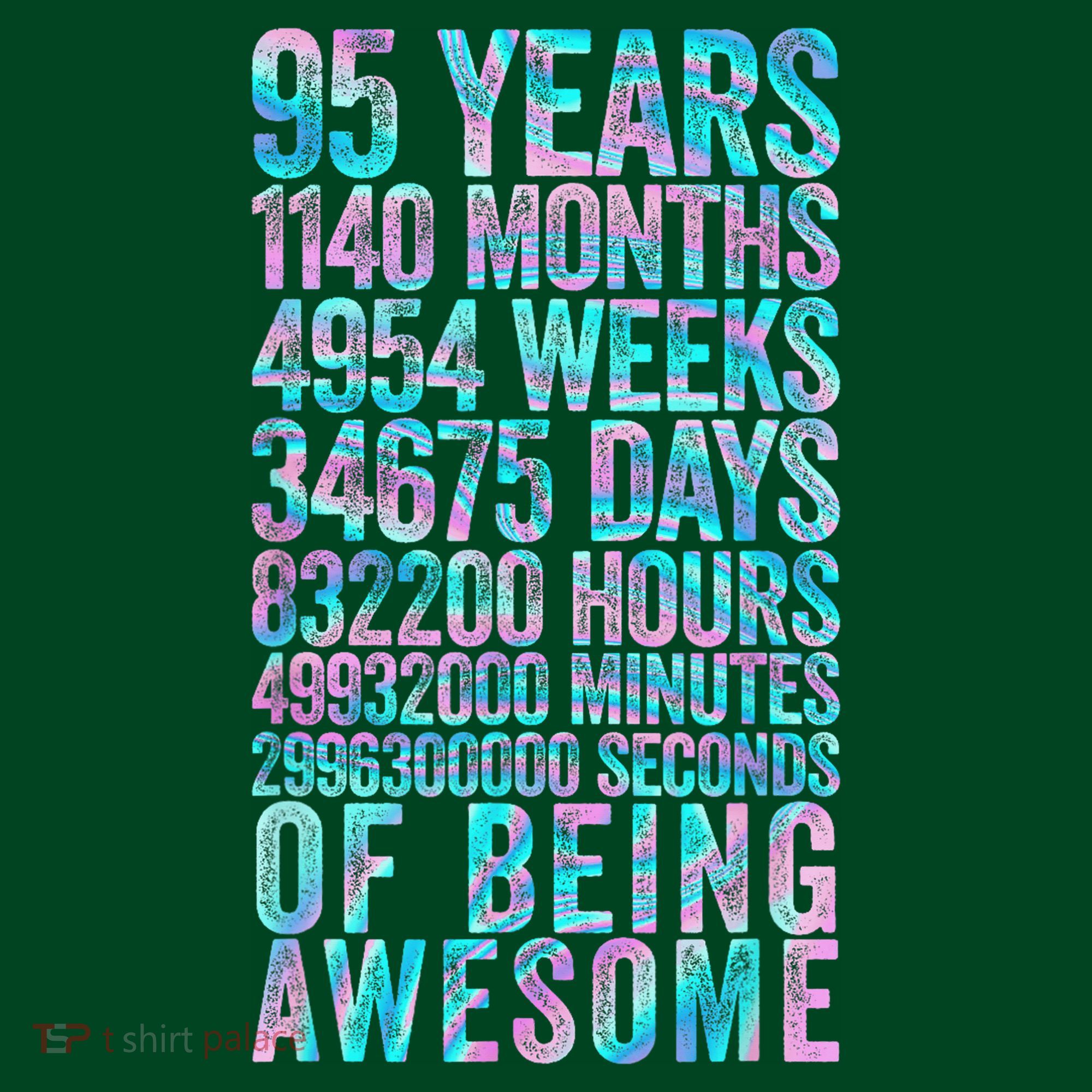 95th Birthday Old Meter 95 Year Old Hoodie