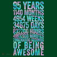 95th Birthday Old Meter 95 Year Old Sweatshirt thumb 3