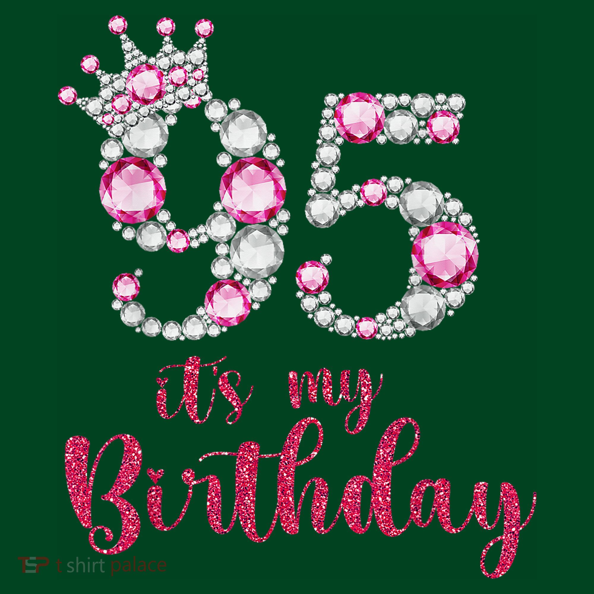 95 It'S My Birthday 95th Birthday 95 Years Old Bday Gift T-Shirt