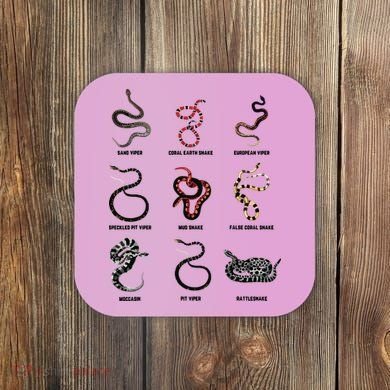 9 Snakes Snake Lover Men Snake Snake Coaster