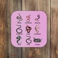 9 Snakes Snake Lover Men Snake Snake Coaster thumb 0