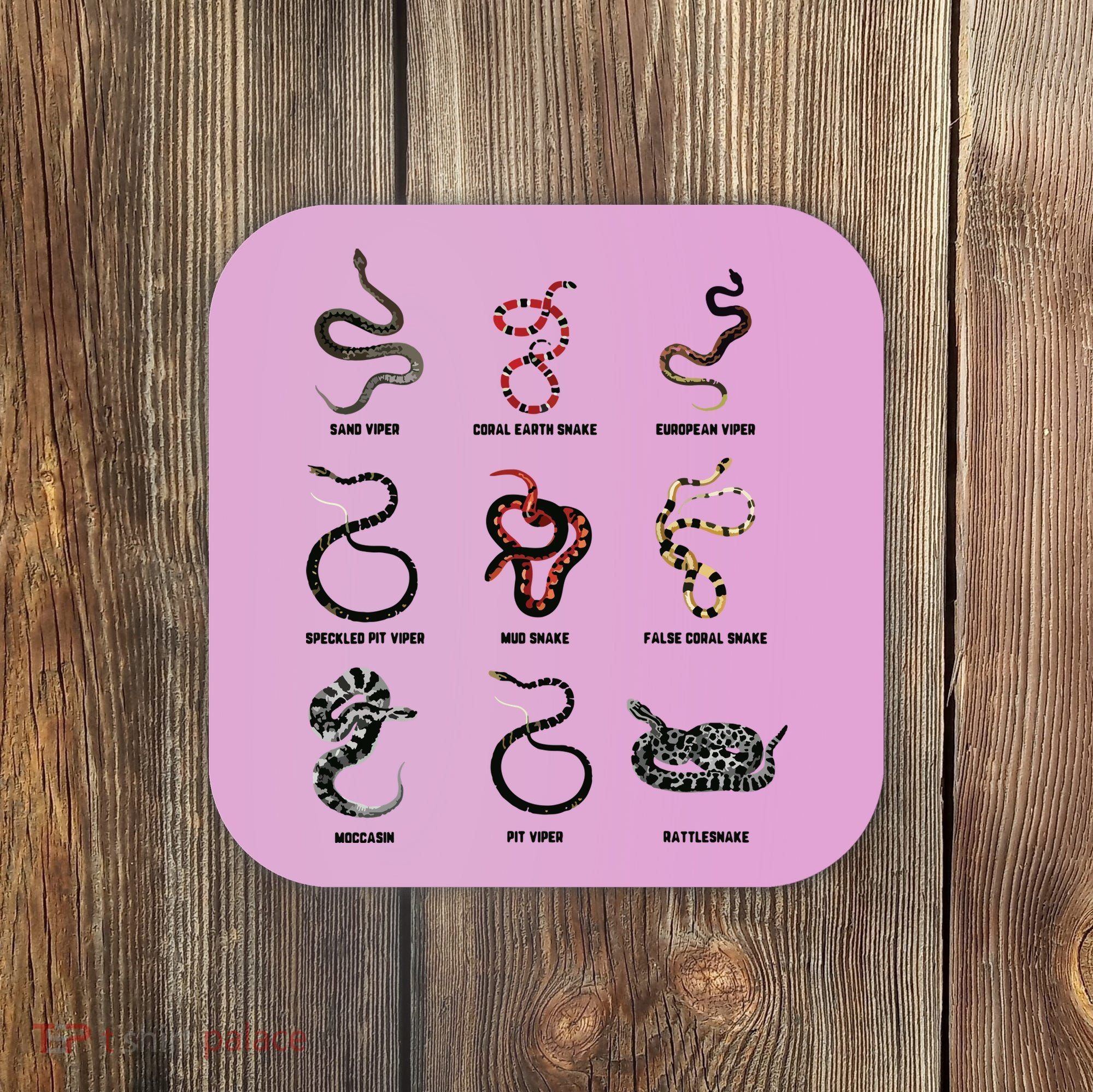 9 Snakes Snake Lover Men Snake Snake Coaster