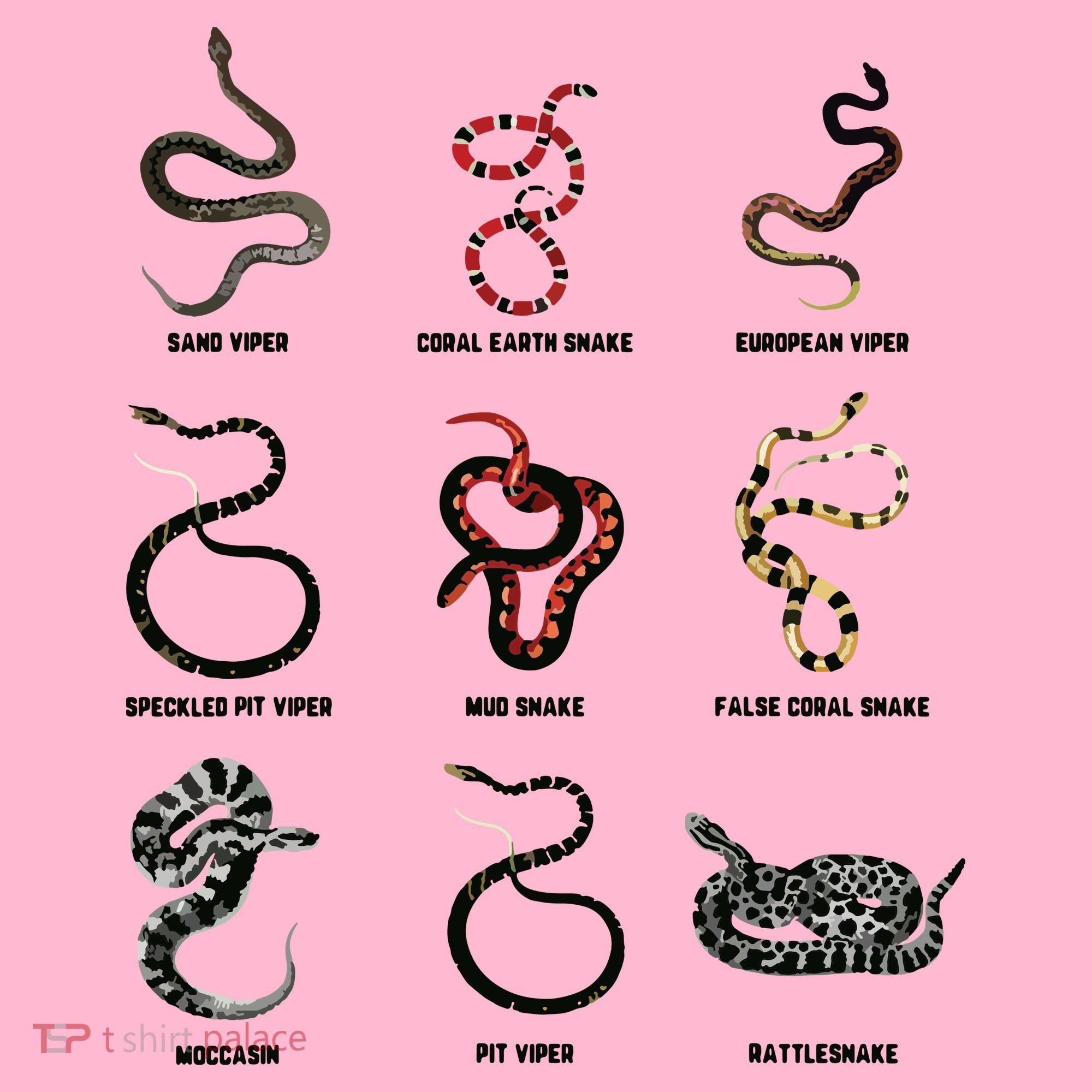 9 Snakes Snake Lover Men Snake Snake Coaster
