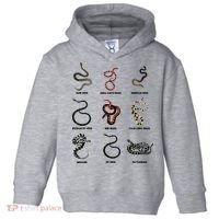 9 Snakes Snake Lover Men Snake Snake Toddler Hoodie thumb 0