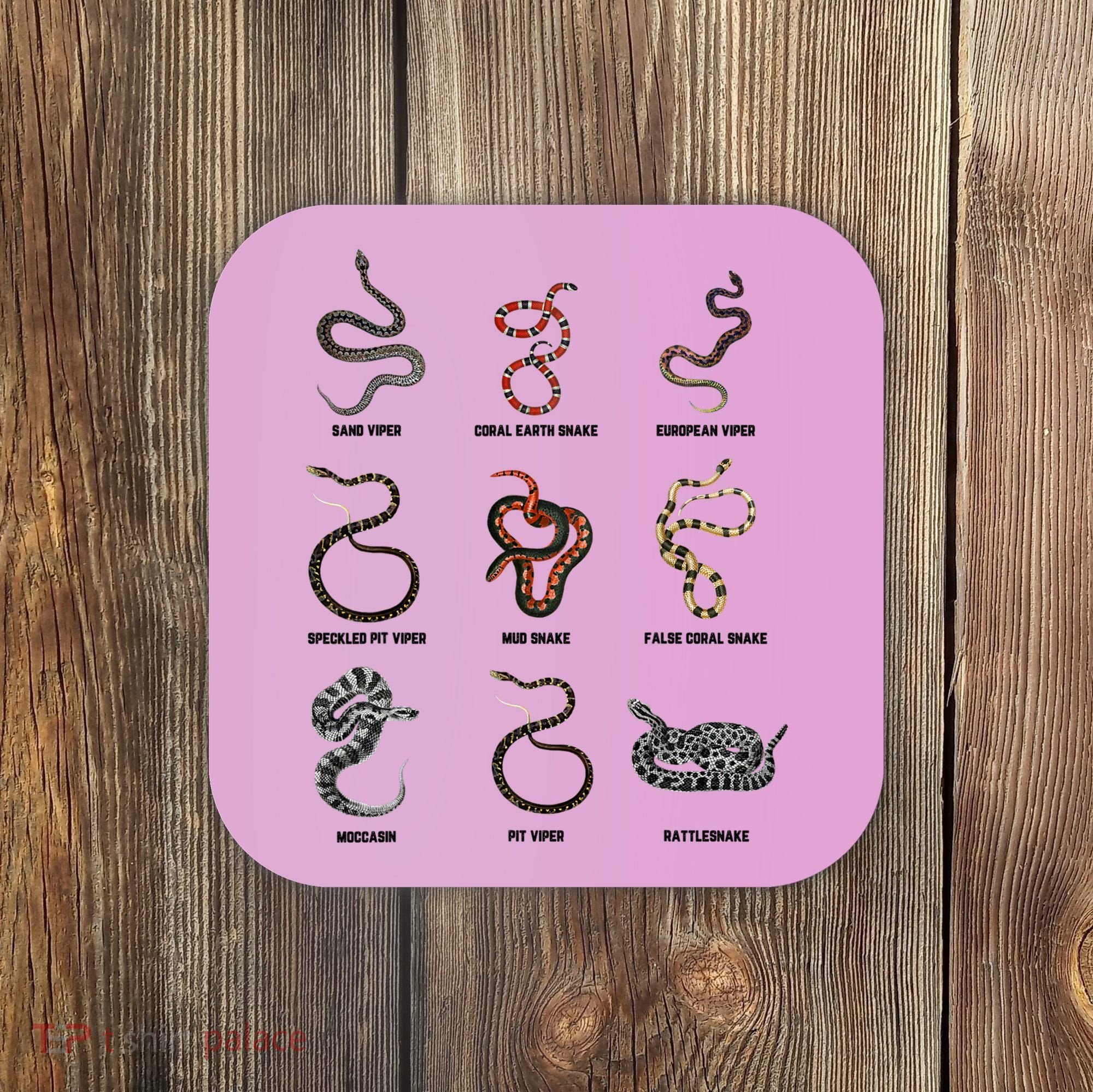 9 Snakes Snake Lover Snake Snake Coaster