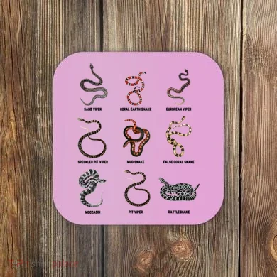 Coaster