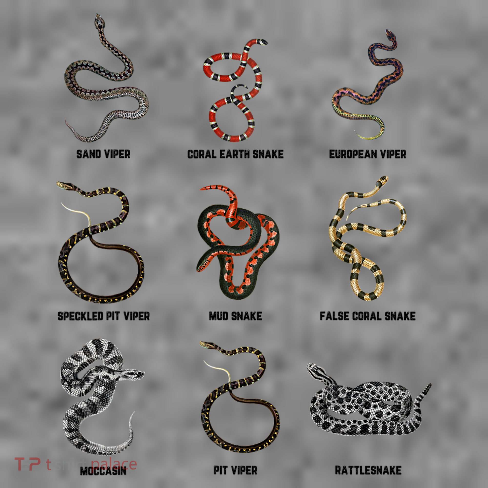 9 Snakes Snake Lover Snake Snake Toddler Hoodie