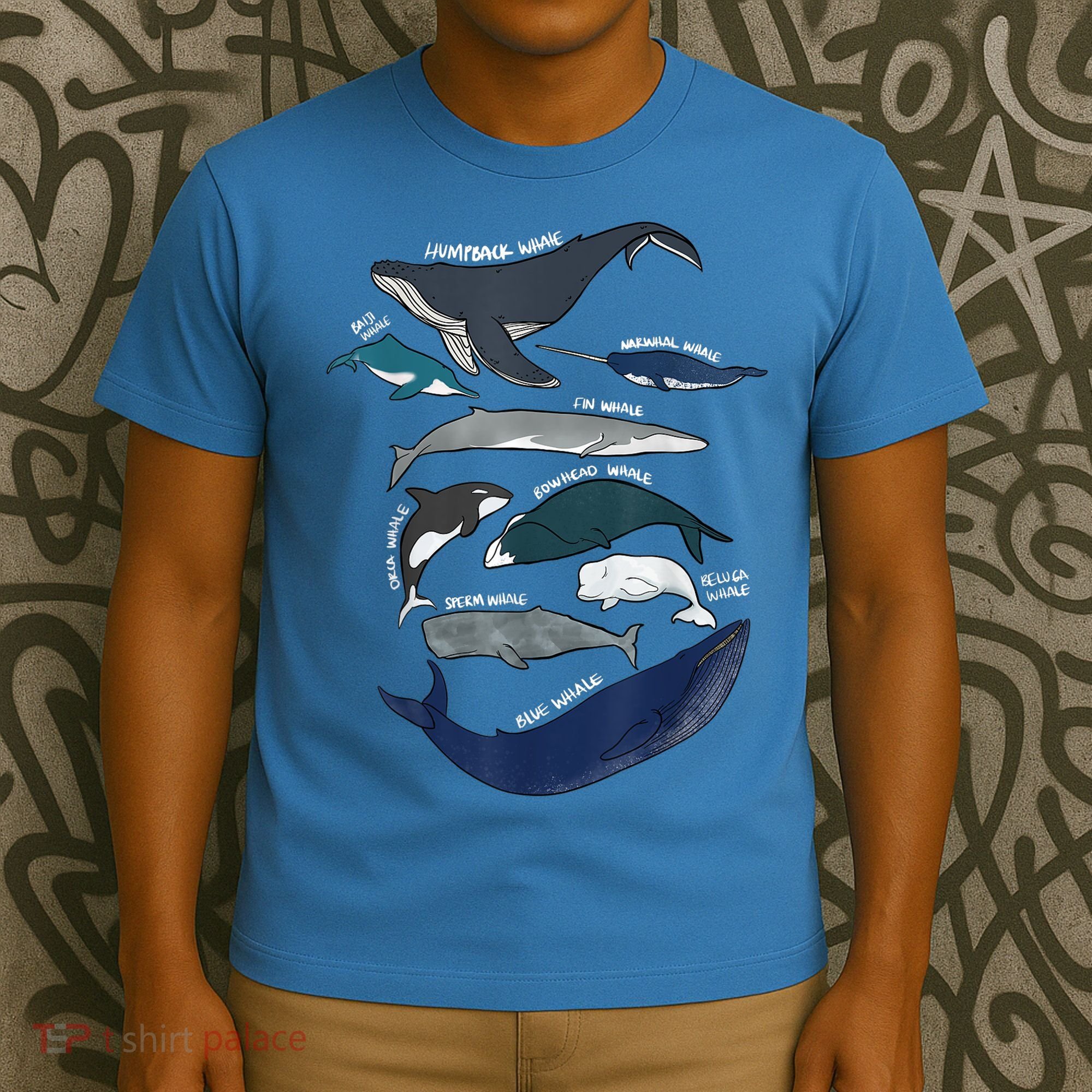 9 Types Of Whales Shirt Whale Breeds Species Whale T-Shirt