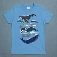 9 Types Of Whales Shirt Whale Breeds Species Whale T-Shirt thumb 4