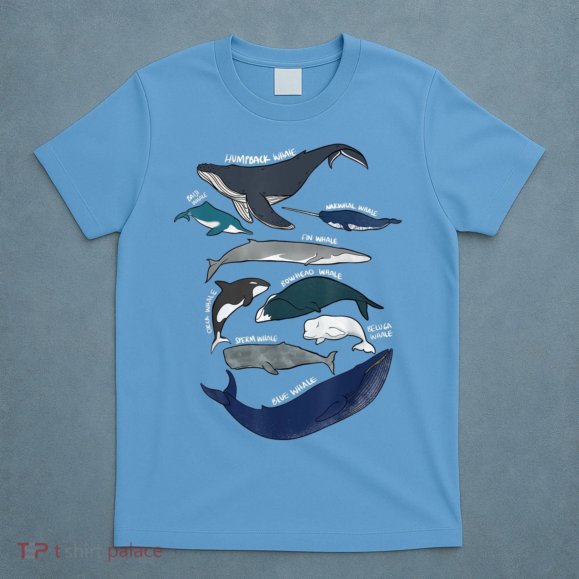 9 Types Of Whales Shirt Whale Breeds Species Whale T-Shirt