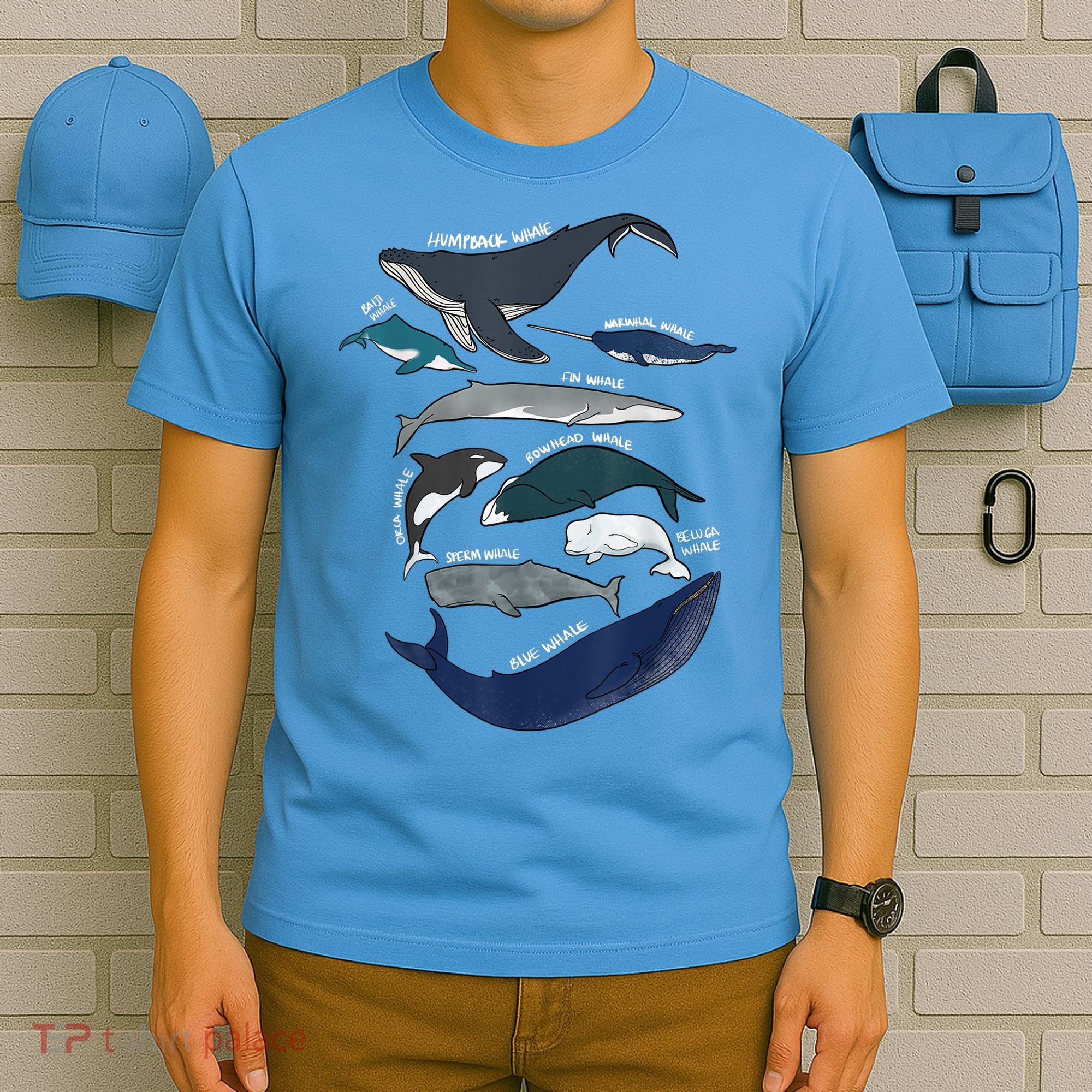 9 Types Of Whales Shirt Whale Breeds Species Whale T-Shirt