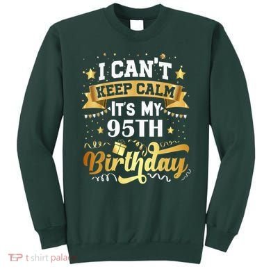 95 Year Old Birthday Party Idea 95th Birthday Gift Sweatshirt