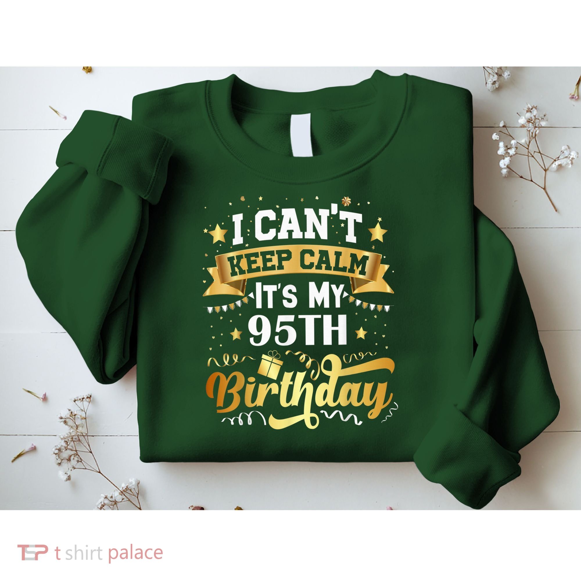 95 Year Old Birthday Party Idea 95th Birthday Gift Sweatshirt