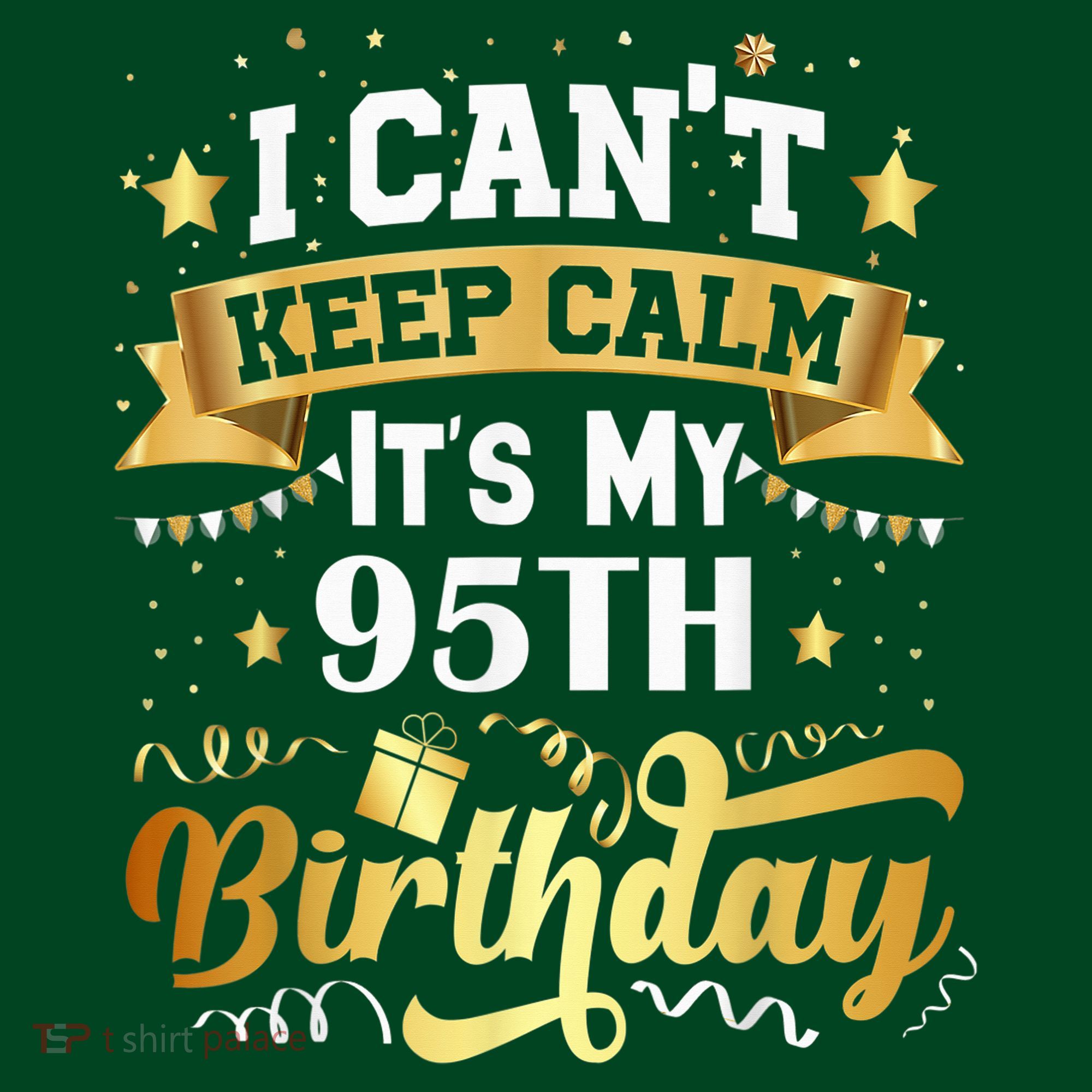 95 Year Old Birthday Party Idea 95th Birthday Gift Sweatshirt
