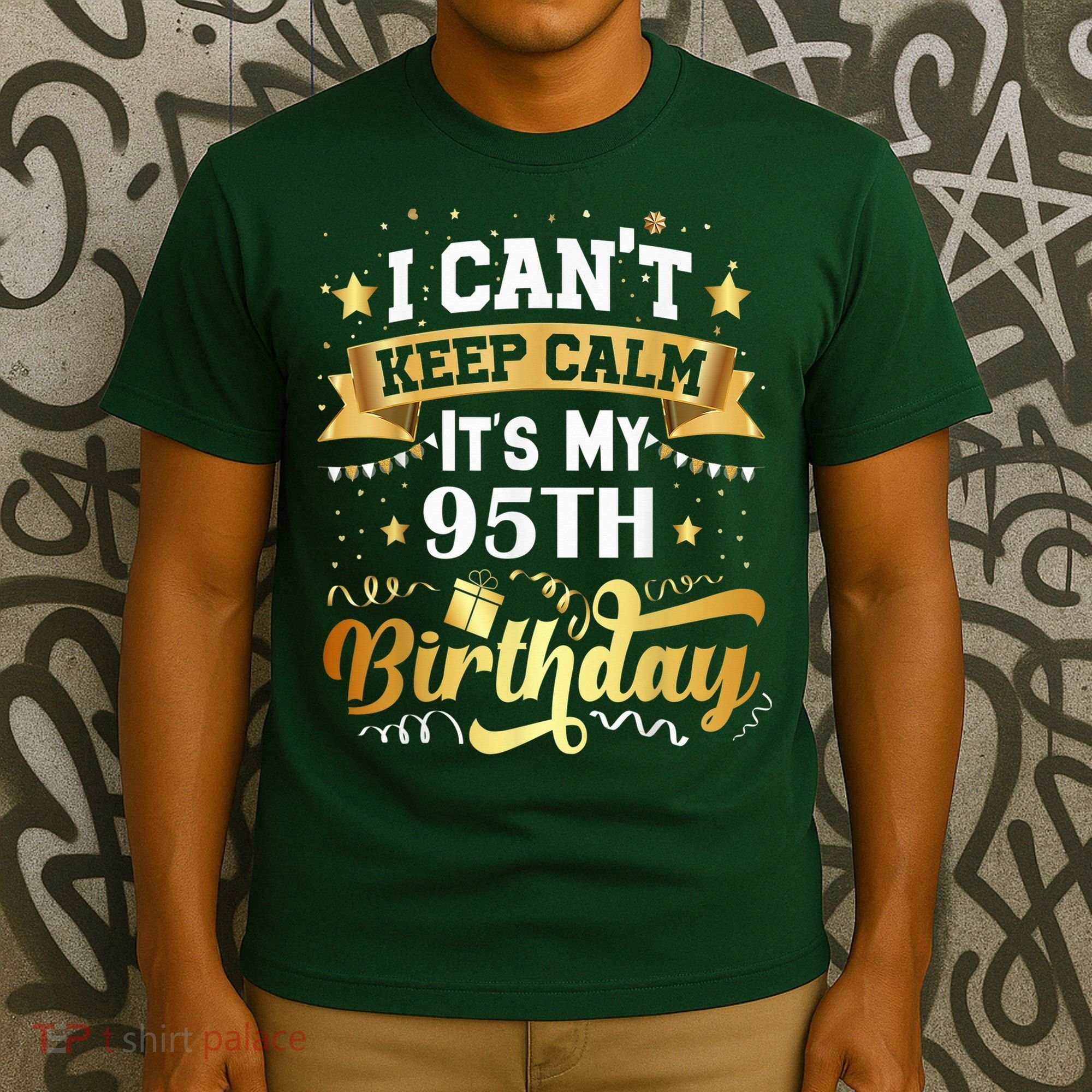 95 Year Old Birthday Party Idea 95th Birthday Gift T-Shirt