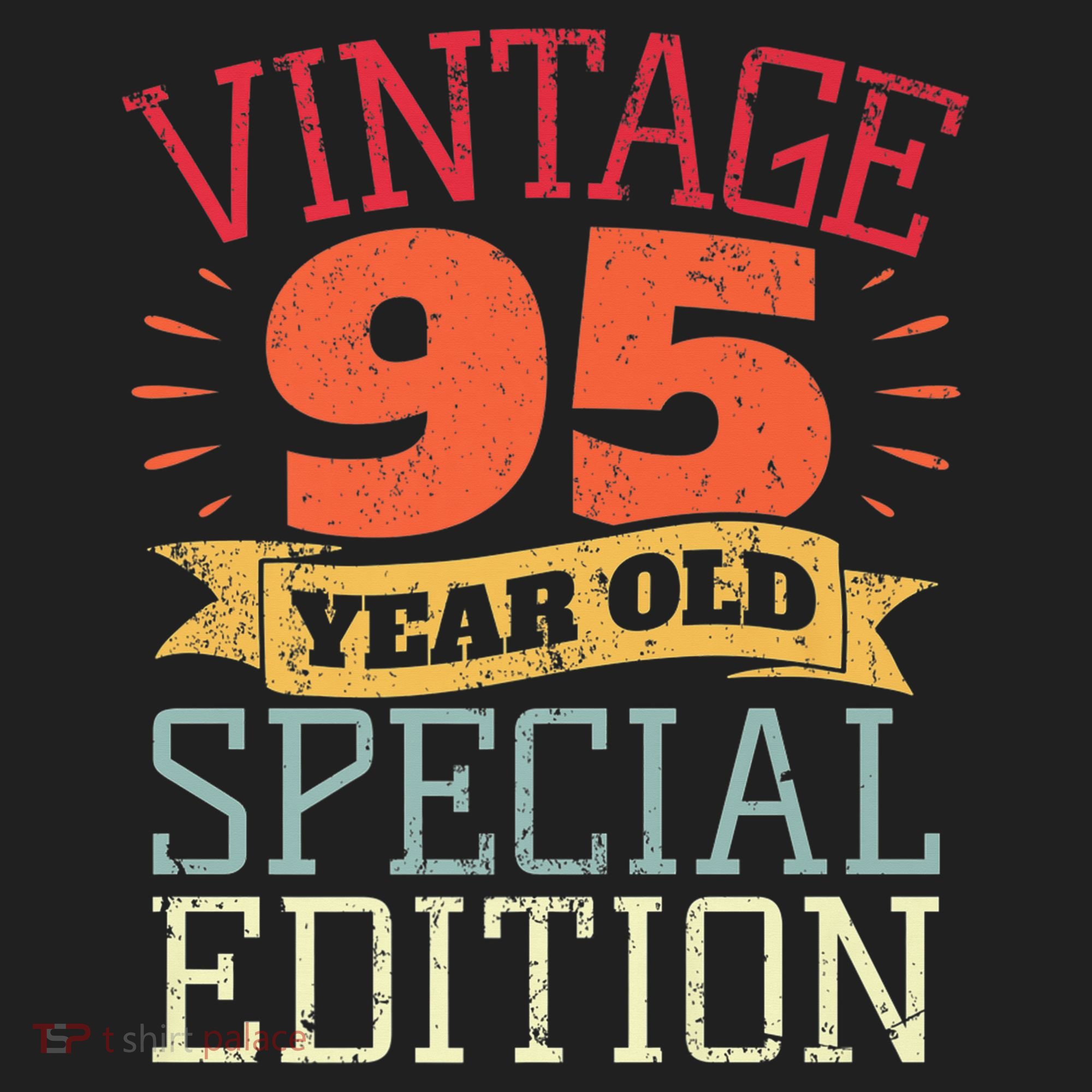 95 Year Old Special Edition I Vintage 95th Birthday Beanie