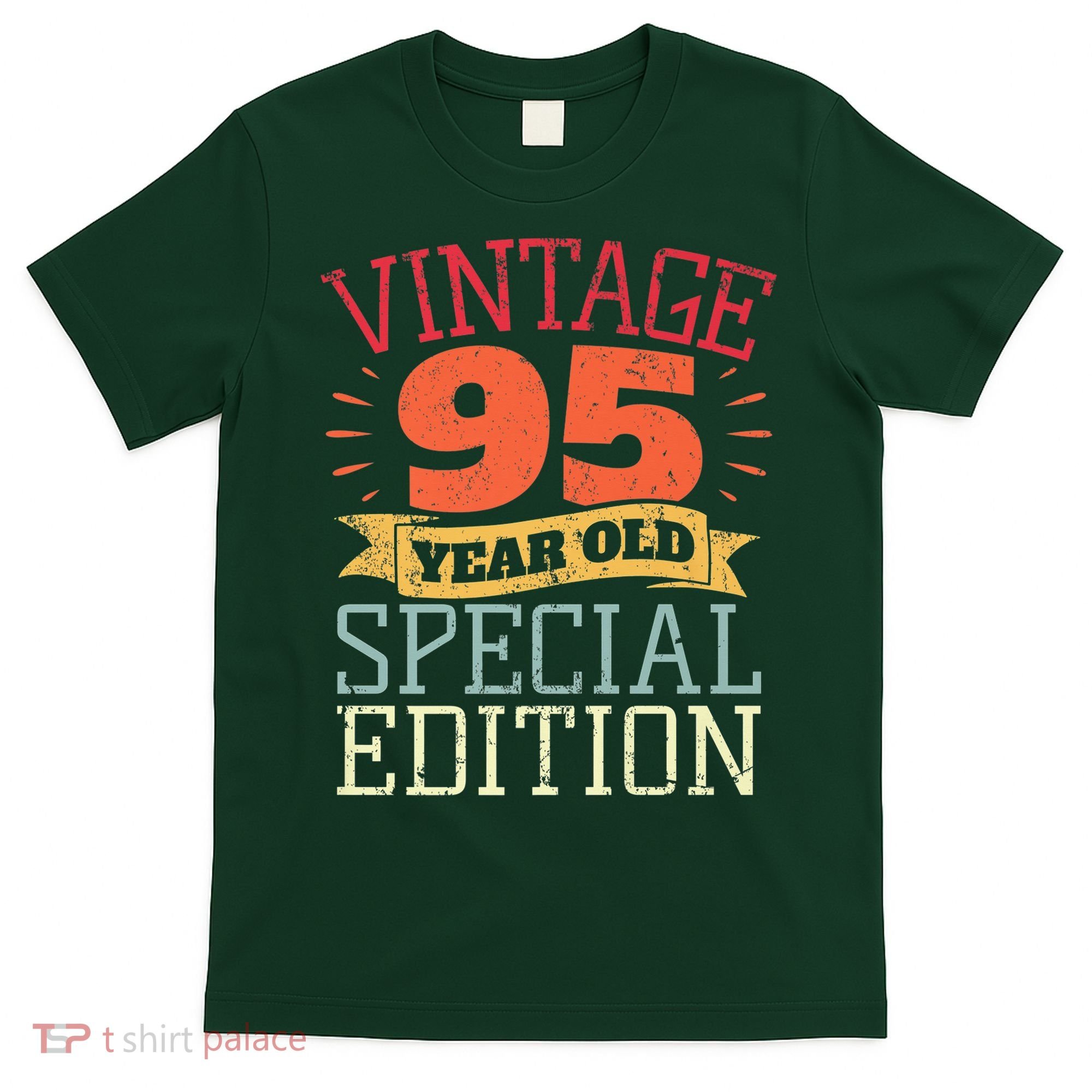 95 Year Old Special Edition I Vintage 95th Birthday T-Shirt