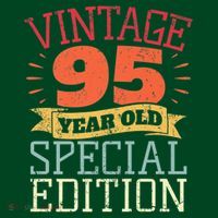95 Year Old Special Edition I Vintage 95th Birthday T-Shirt thumb 7