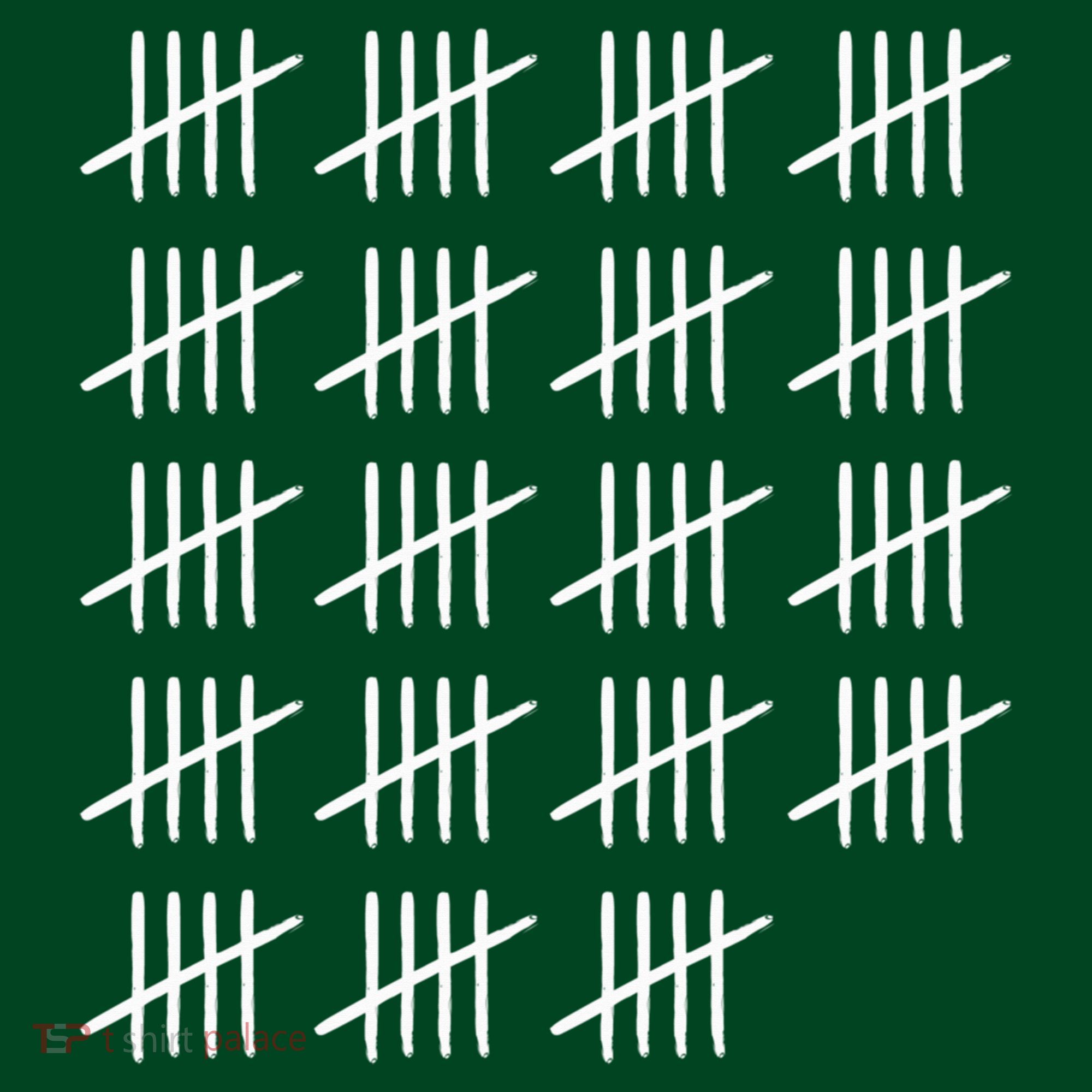 95 Years Old Tally Marks 95th Birthday Coaster
