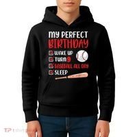 9 Year Old Baseball Birthday Party 9th Boy Nine Player Kids Hoodie thumb 4
