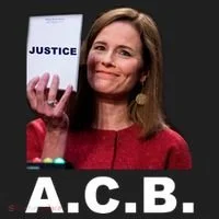 A.C.B. Justice Notepad Amy Barrett Tumbler thumb 3