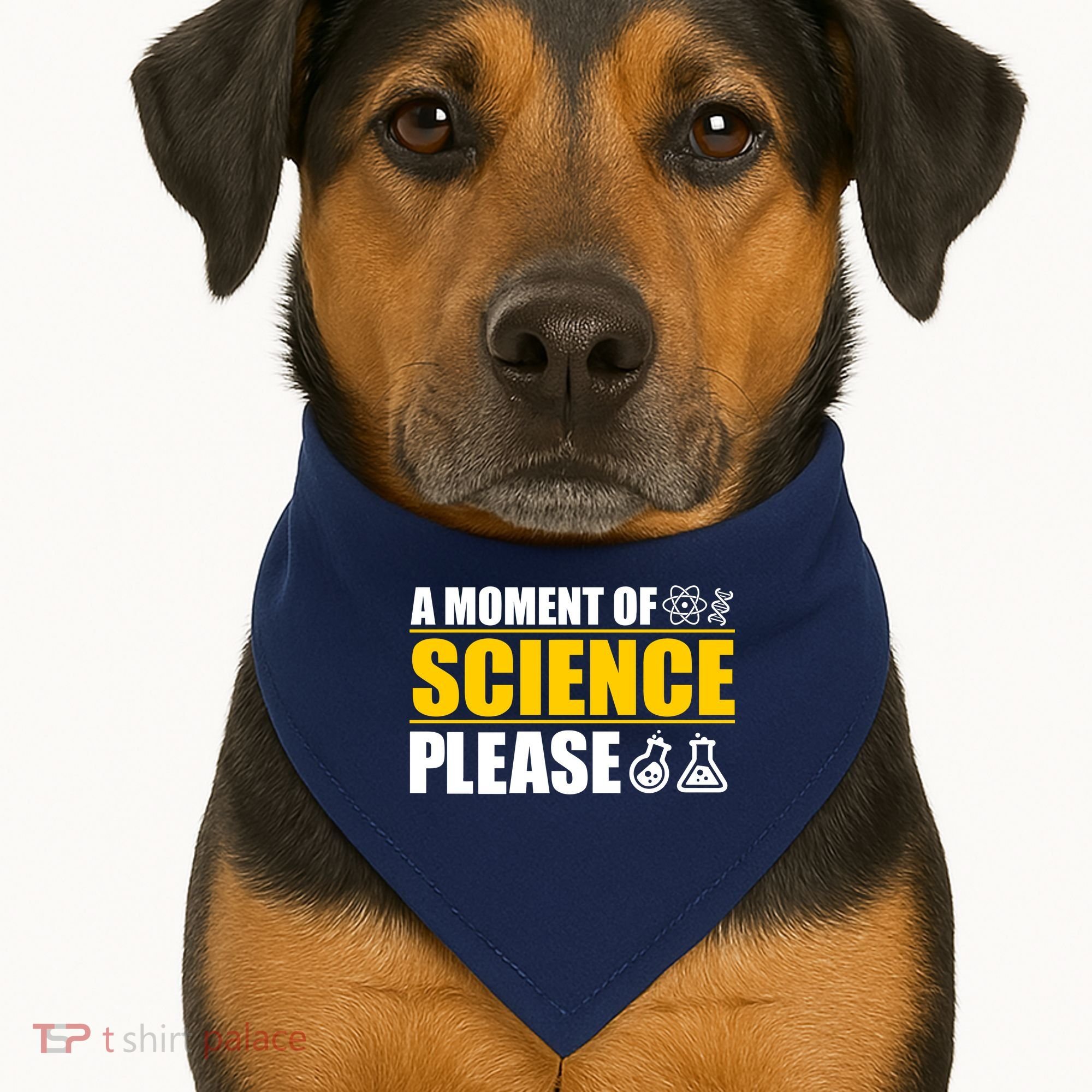 A Moment of Science Please USA-Made Doggie Bandana