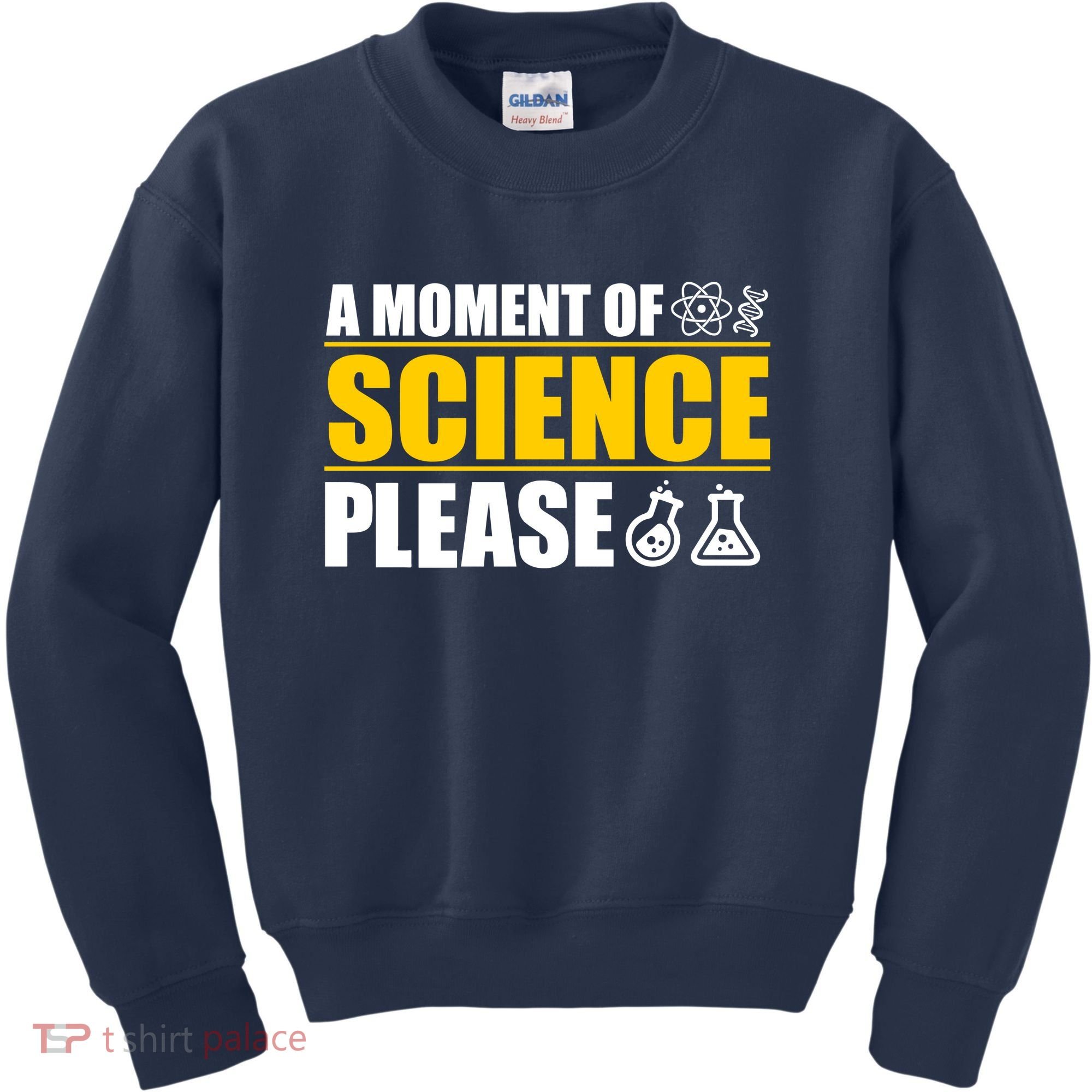 A Moment of Science Please Kids Sweatshirt