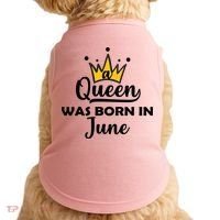 A Queen Was Born In June Birthday Doggie Tank thumb 0