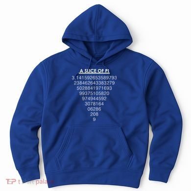 A Slice of Pi Pie Funny Pi Day Math Geek Logo Hoodie