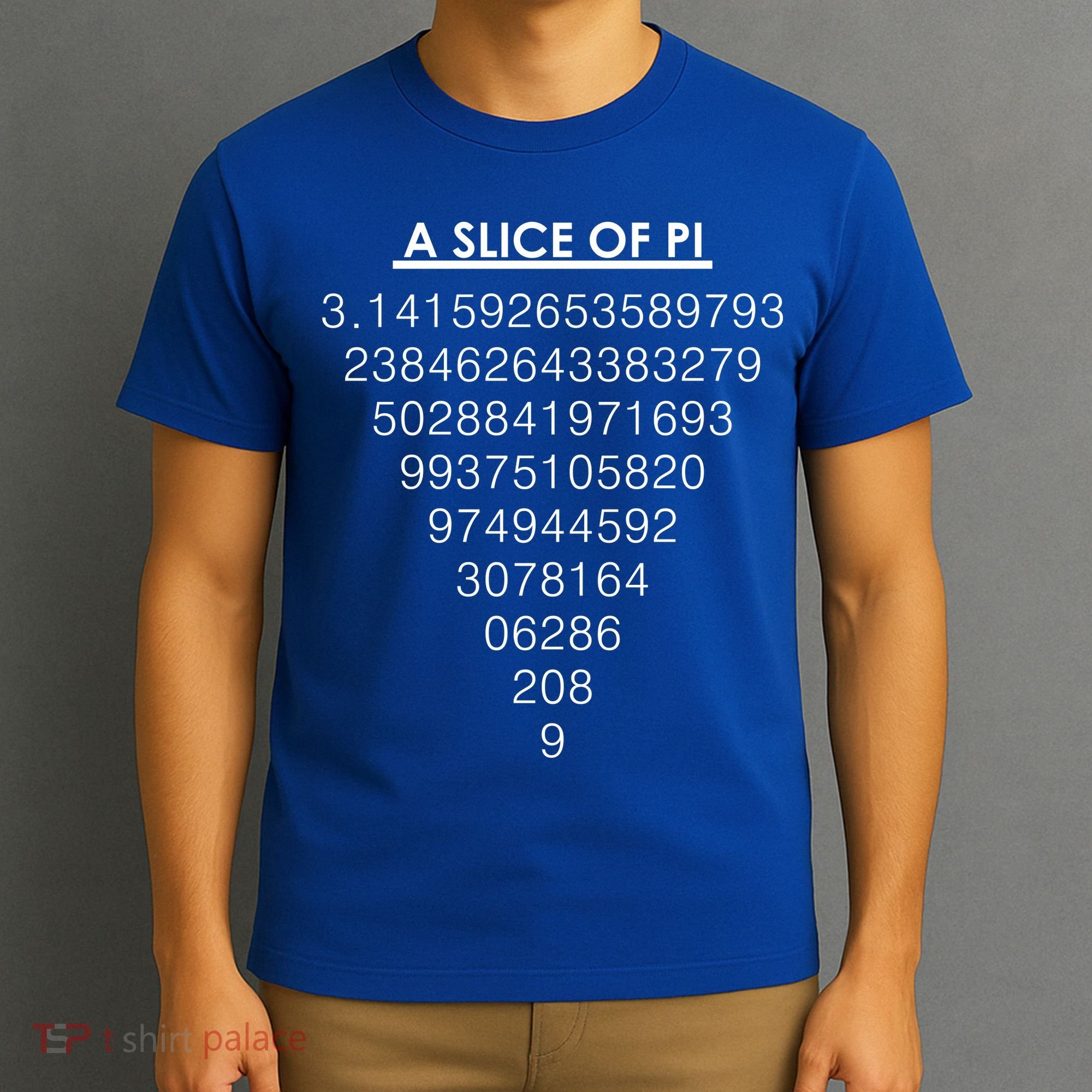 A Slice of Pi Pie Funny Pi Day Math Geek Logo T-Shirt