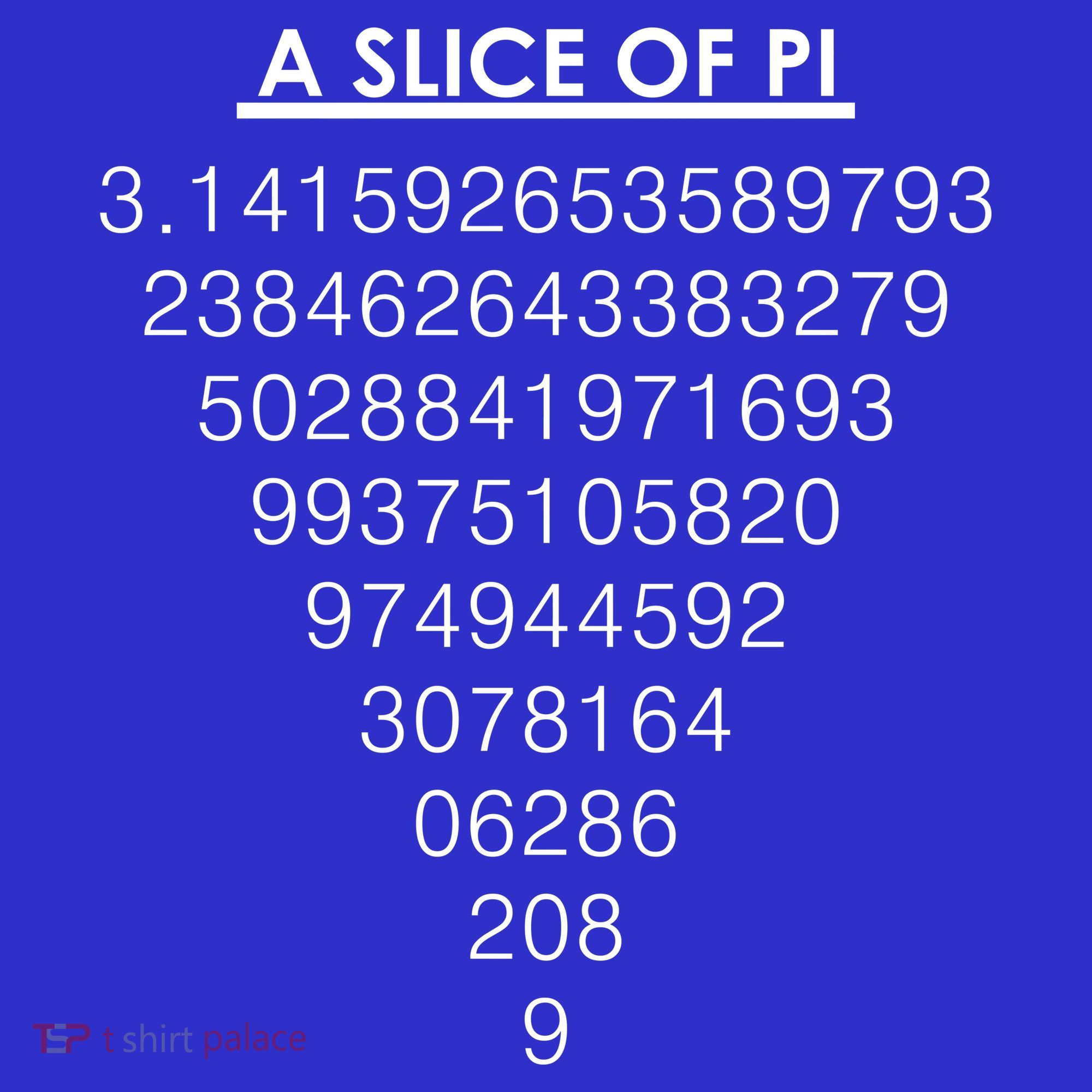 A Slice of Pi Pie Funny Pi Day Math Geek Logo Polo