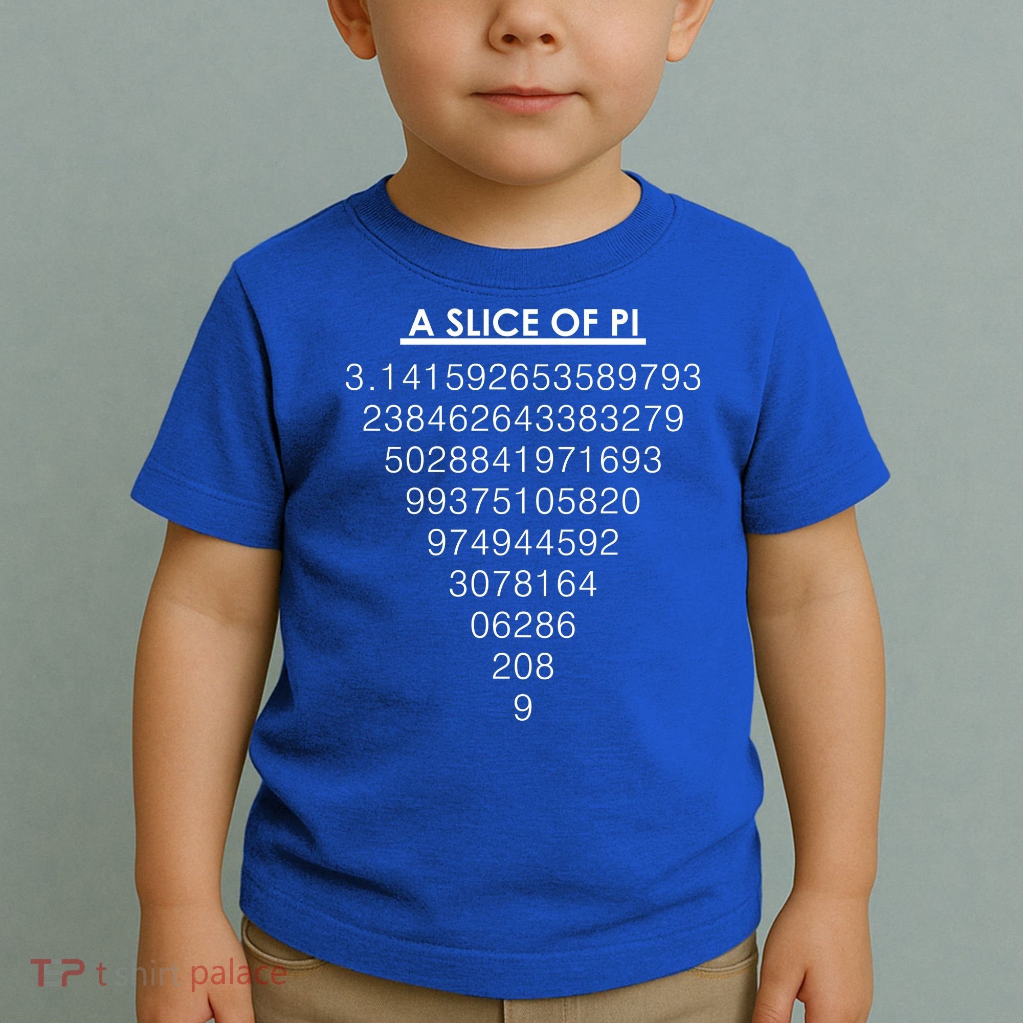 A Slice of Pi Pie Funny Pi Day Math Geek Logo Toddler T-Shirt