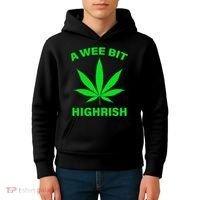 A Wee Bit Highrish Kids Hoodie thumb 4