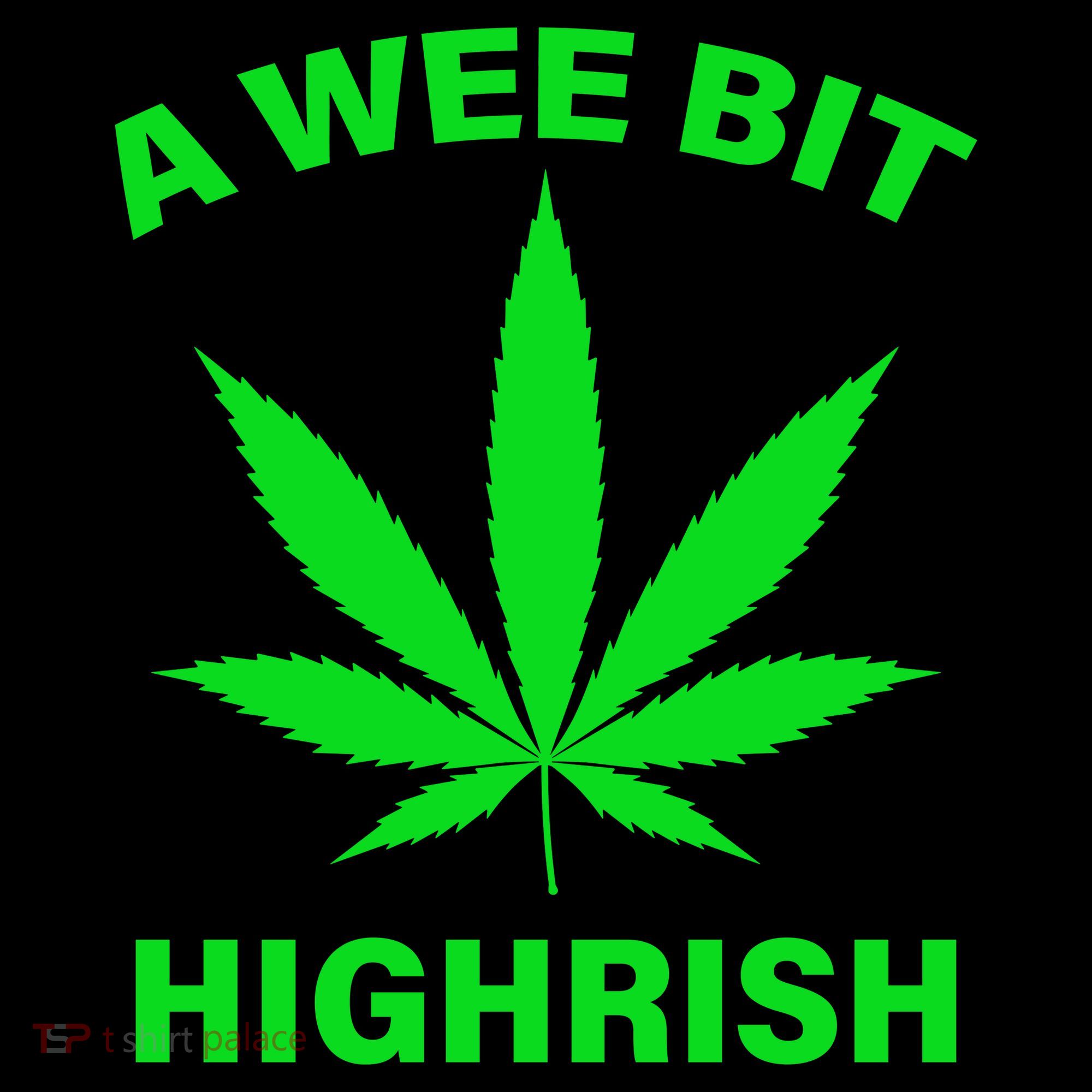 A Wee Bit Highrish Kids Hoodie