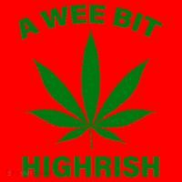 A Wee Bit Highrish Santa Hat thumb 1