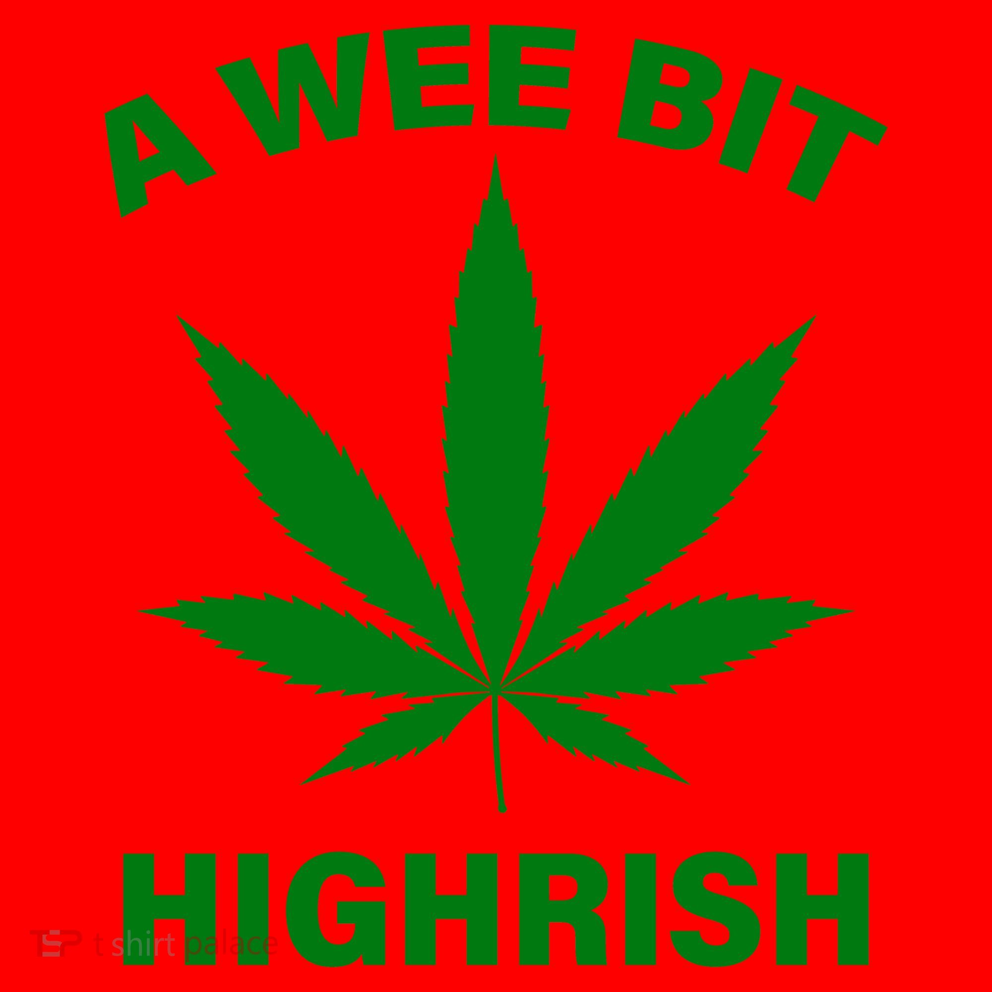 A Wee Bit Highrish Santa Hat
