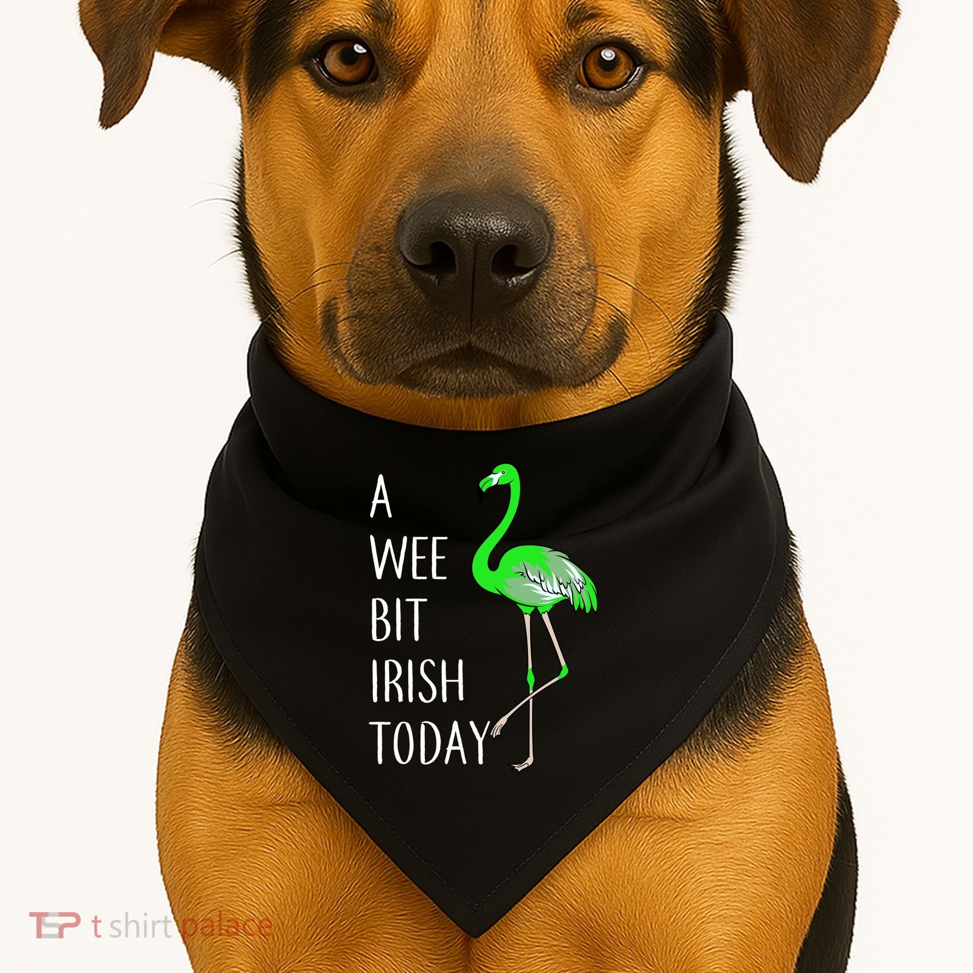 A Wee Bit Irish Today Flamingo USA-Made Doggie Bandana