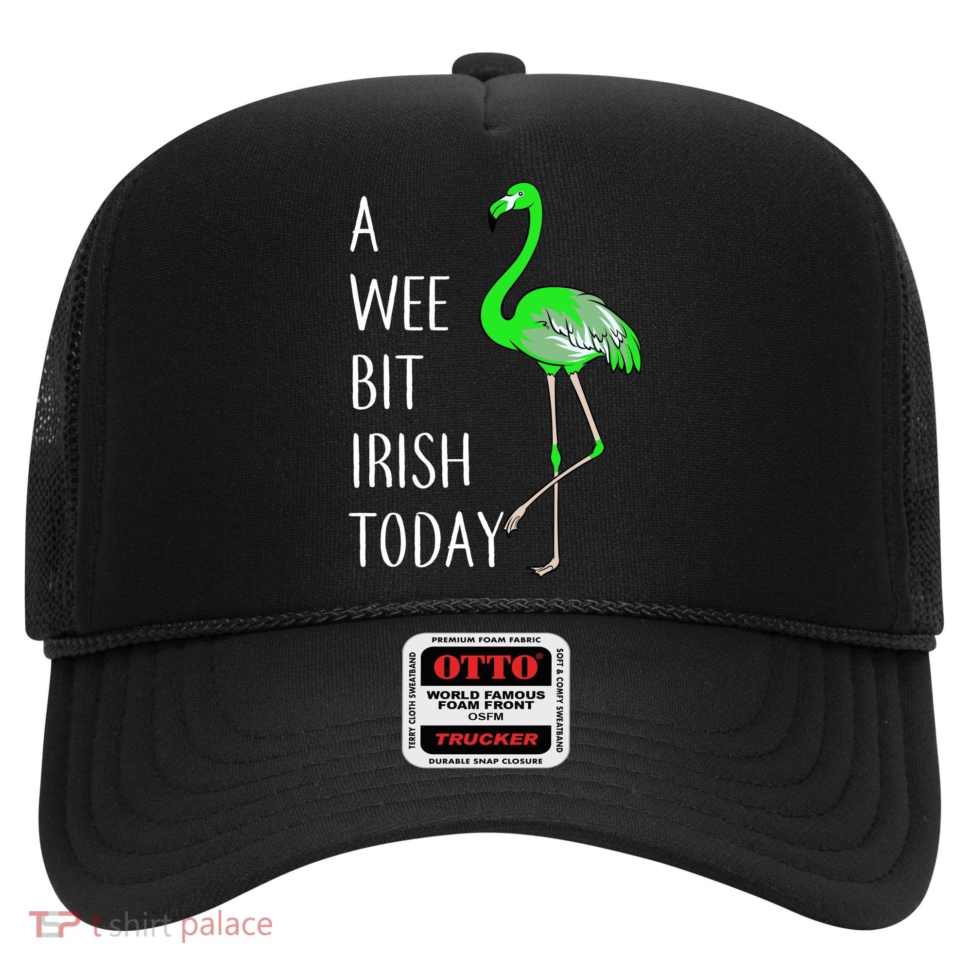 A Wee Bit Irish Today Flamingo Hat