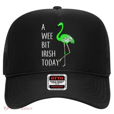 A Wee Bit Irish Today Flamingo Hat