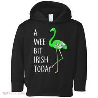 A Wee Bit Irish Today Flamingo Toddler Hoodie thumb 0