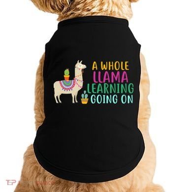 A Whole Llama Learning Going On Doggie Tank