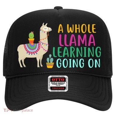 A Whole Llama Learning Going On Hat
