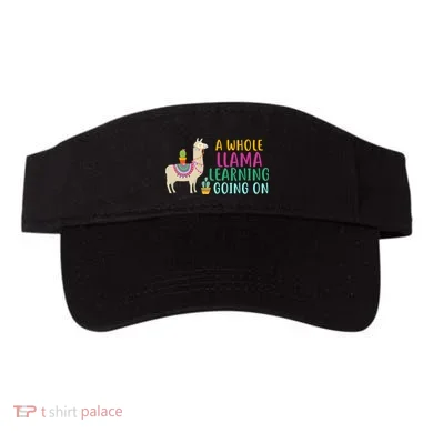 Visor