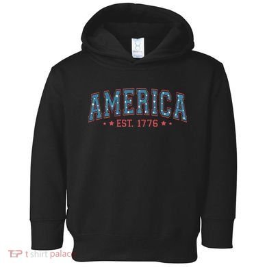 America 1776 Toddler Hoodie