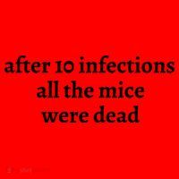 After 10 Infections All The Mice Were Dead Santa Hat thumb 1