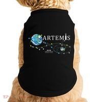 Artemis 1 Route Map SLS Rocket Launch Mission To The Moon Doggie Tank thumb 0